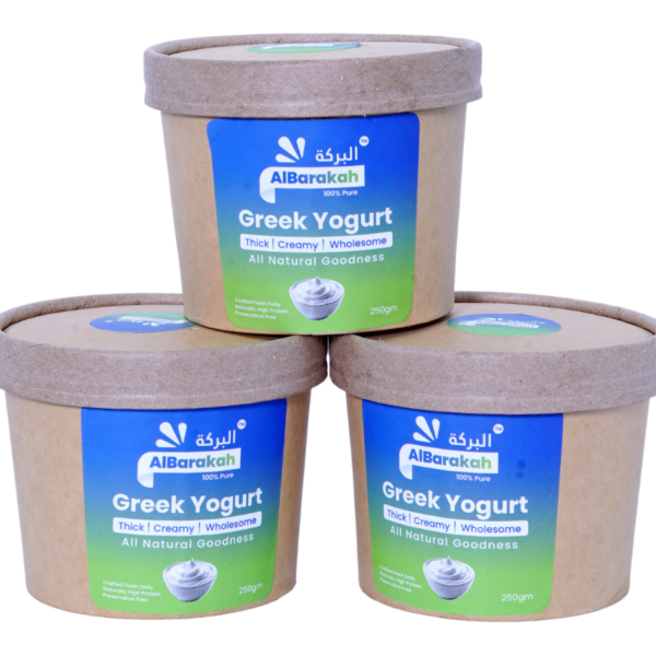 Greek yogurt 250gm creamy protein-rich dairy product