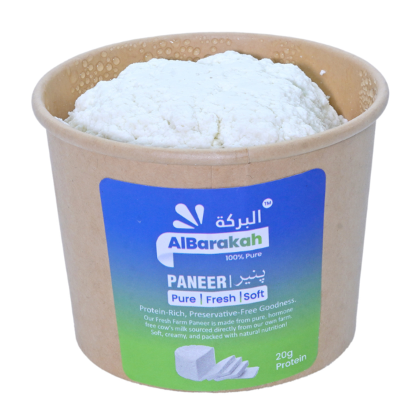 Fresh paneer 250gm block soft and creamy dairy product