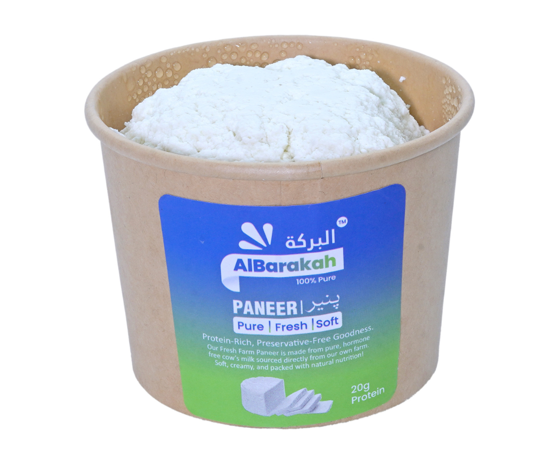 Fresh paneer 250gm block soft and creamy dairy product