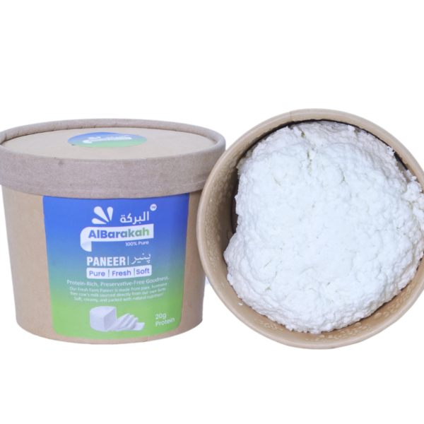 Fresh paneer 250gm block soft and creamy dairy product
