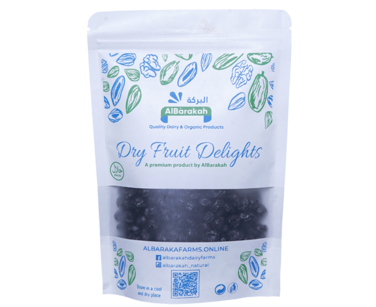 Premium dried blueberries sweet antioxidant-rich fruit