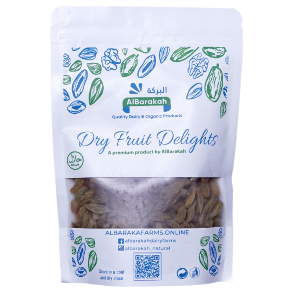 Premium Sundar Khani raisins plump sweet dried grapes