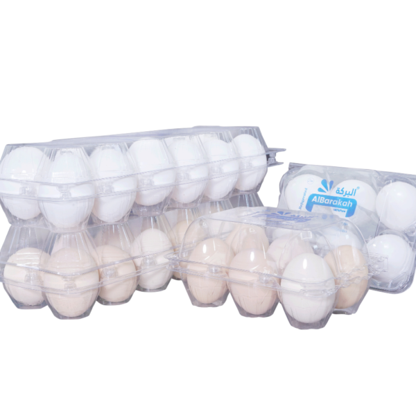 Organic eggs pack of 12 fresh farm eggs tray